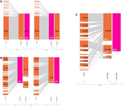 STXBP6 and B3GNT6 Genes are Associated With Selective IgA Deficiency